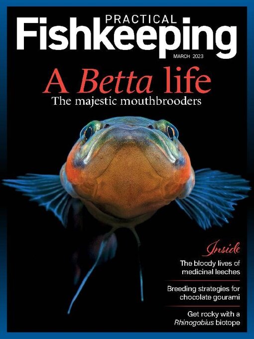 Title details for Practical Fishkeeping by Warners Group Publications Plc - Available